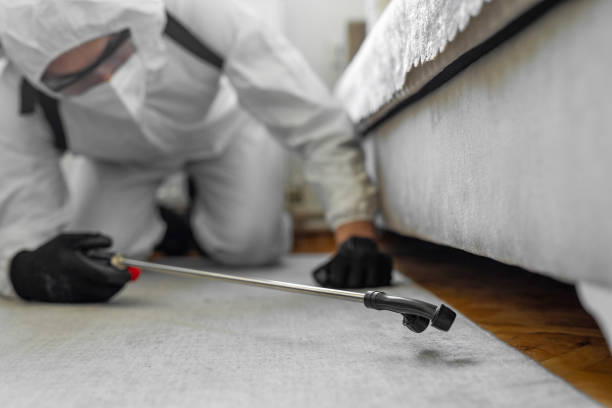 Professional Termite Control technician working in Villa Rica, GA