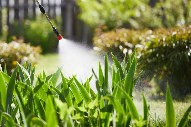 24/7 Emergency Termite Control experts in Villa Rica, GA