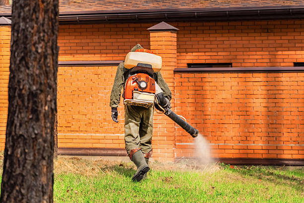 Trusted Ant Control service in Villa Rica, GA - Nex Pest Control